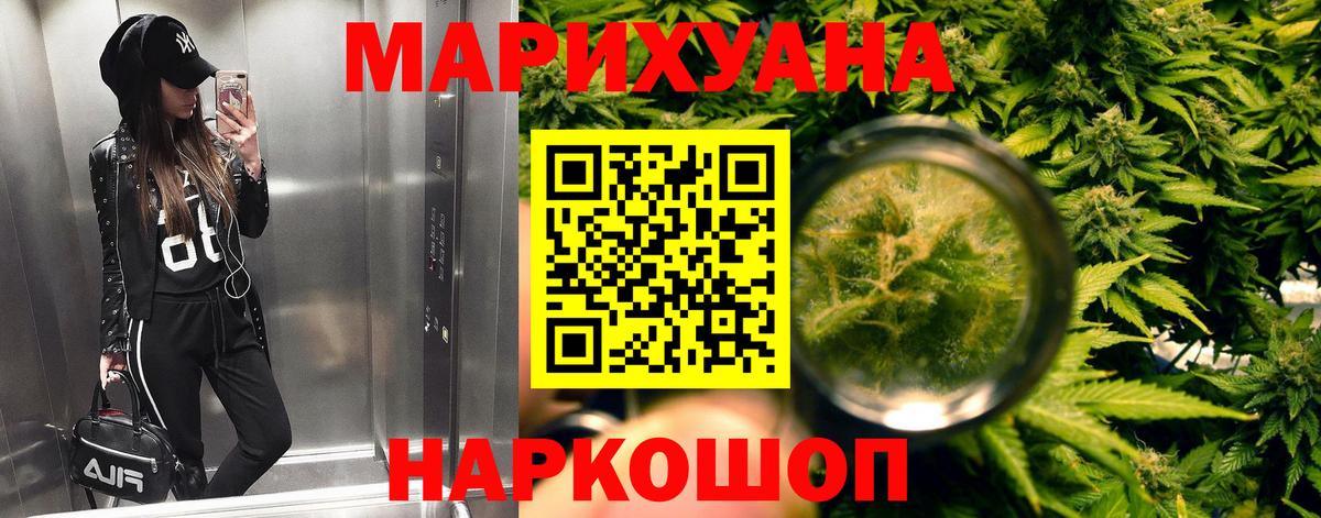 Канабис сатива Серов
